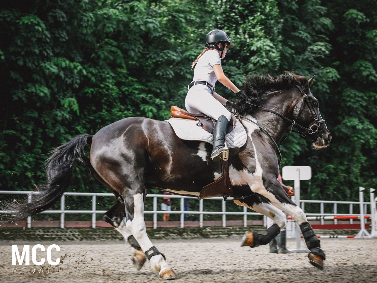 Jeździectwo - sport i rekreacja na świeżym powietrzu dla ludzi, którzy lubią jeździć konno. 